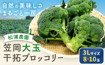 大玉 干拓 ブロッコリー 3Lサイズ 8〜10玉 松浦農園 【配送不可地域あり】（離島）《12月上旬-5月中旬頃出荷》 岡山県 笠岡市 野菜 青果物