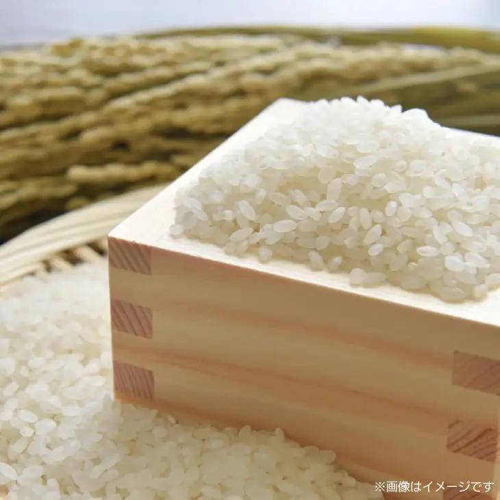 令和8年産米　淡路島産キヌヒカリ　白米5㎏