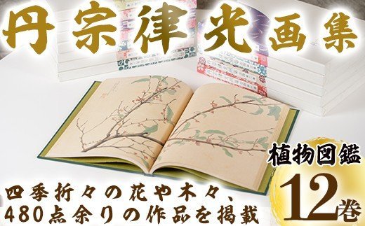 丹宗律光画集(全12巻)美術品 丹宗律光 画集 絵画 図鑑 古書 書籍【生涯学習課】a-36-11-z