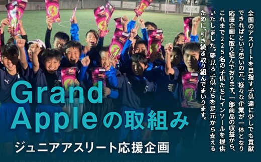 【先行予約】葉とらず早生ふじ 特A 家庭用 約3kg【グランドアップル】 青森りんご リンゴ 林檎 アップル 果物 くだもの フルーツ  F41-0034