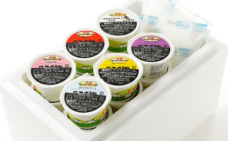 北海道　アイスクリーム　20種計24個入り｜十勝もーもースイーツ　ファミリーアイスセット＜80ml×24個＞　◆2024年09月配送　［016-M60］　※オンライン申請対応