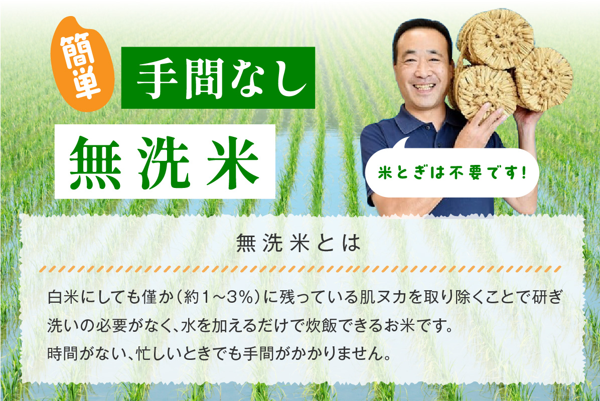 【令和5年産】無洗米 浜田市金城町産こしひかり ５kg×２袋 米 お米 精米 白米 新生活 応援 準備 【1298】