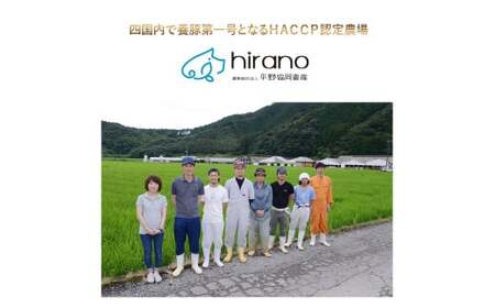 四万十麦豚 パラパラミンチ 2kg（500g×4袋）麦豚 ミンチ 冷凍 Ahc-22