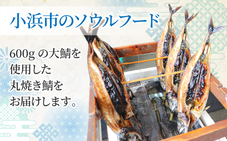 丸焼き鯖 500g×2本 [A-087005]