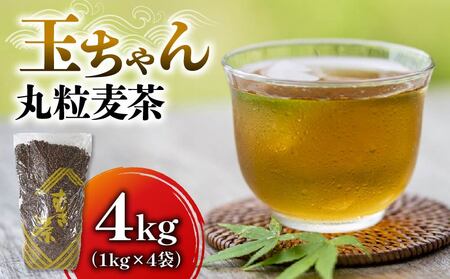 麦茶 玉ちゃん 丸粒麦茶 1kg 入れ 4袋 麦茶    