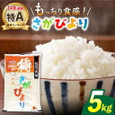 【ふるさと納税】【年内発送 12/23まで】特A評価14年連続 令和6年産 新米 武雄市橘産 さがびより 5kg /肥前糧食株式会社【配送エリア限定】 [UCL001]