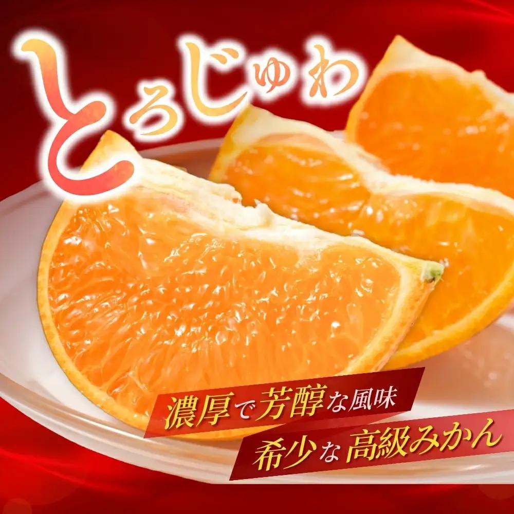 【先行予約】 せとか 5kg （2027年3月以降順次発送） / 柑橘の大トロ 高級 ブランド 希少 品種 和歌山蜜柑 和歌山ミカン 高級みかん 人気みかん みかんランキング 果物 くだもの フルーツ