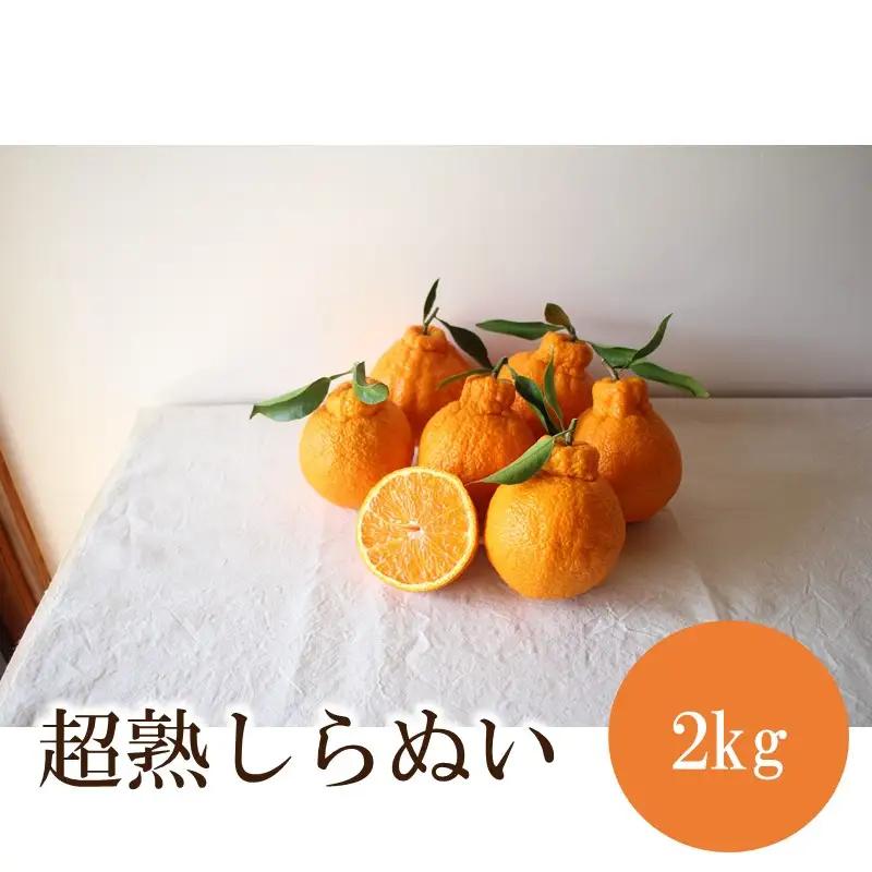 超熟しらぬい 2kg＜先行予約2027年3月発送開始分＞【1364】