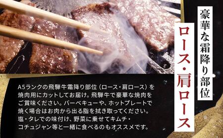 飛騨牛Ａ5 焼肉用 1kg（500g×2パック）ロース 又は 肩ロース 肉 ｜国産 肉 牛肉 焼肉 和牛 黒毛和牛 グルメ A5等級 おすすめ AD117【飛騨牛 和牛ブランド 飛騨牛 黒毛和牛 飛騨