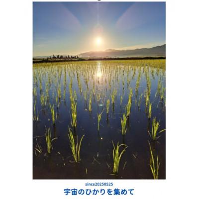 ふるさと納税 胎内市 自然なお米(亀の尾:玄米) 5kgOryza Jozucana Satonaya/新潟県城塚未検査米 |  | 02