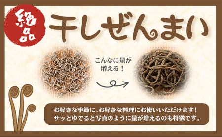 熊本県 山江村産 干しぜんまい 100g(50g×2袋) 藤田商店《30日以内に出荷予定(土日祝除く)》 熊本県 球磨郡 山江村 ぜんまい 天日干し ゼンマイ 自然食品 ビビンバ ナムル