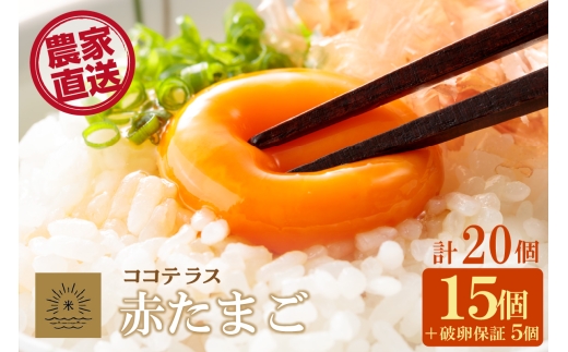 ココテラスの明日（赤たまご）15個 + 5個保証（計20個）【JGAP認証】
