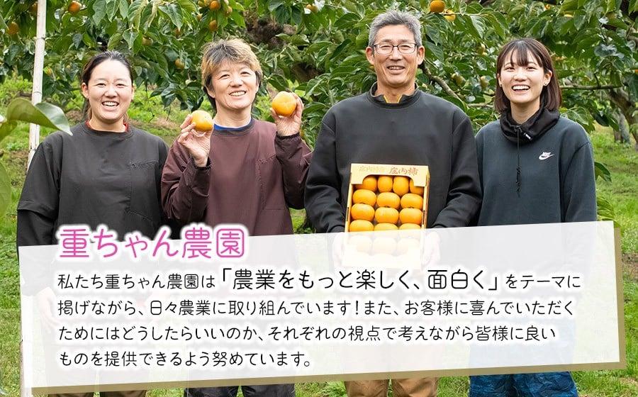 【令和8年産先行予約】庄内柿 たねなし柿 平核無柿 脱渋済み 家庭用 約3kg（18～23玉）　山形県鶴岡市 重ちゃん農園
