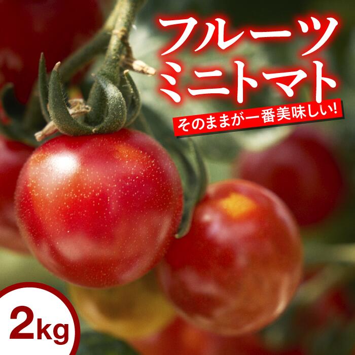 【ふるさと納税】トマト 高知 フルーツトマト ミニ 2kg 完熟 甘い 濃厚 野菜 人気 ふるーつとまと 甘い 濃厚 美味しい 箱詰め 糖度 高知 四万十川 まちだ農園 高糖度 定期便 ギフト　おやつ プチ お弁当 季節限定