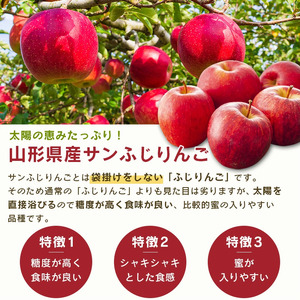 《先行予約》令和8年産 りんご（サンふじ）と ラ・フランス 詰合せ 2.5kg 山形県産【2026年11月頃から12月中旬頃発送予定】2026年産 山形県産　012-B-MM072