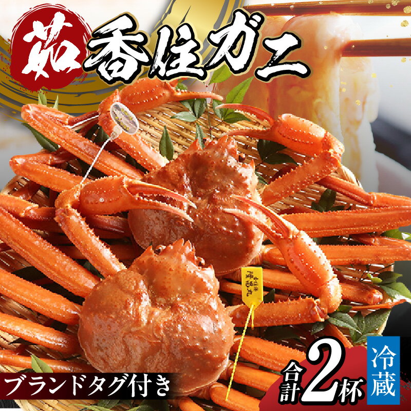 【ふるさと納税】カニ 香住ガニ タグ付き 2杯 ボイル 送料無料 700g前後×2 1.4kg 蟹 海鮮 かに 紅ズワイガニ 脚 蟹爪 ギフト かにしゃぶ しゃぶしゃぶ カニすき かに鍋 ギフト 鍋 蟹味噌 甲羅焼き 焼きガニ 焼き蟹 香住蟹 香住カニ 兵庫県 香住 姿11-04