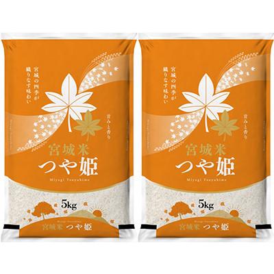 ふるさと納税 登米市 【毎月定期便】宮城県登米市産 つや姫(精米) 5kg×2袋セット全8回