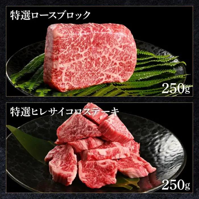 熟成肉 土佐和牛 詰め合わせ6種 【株式会社LATERAL】 [ATAY079]