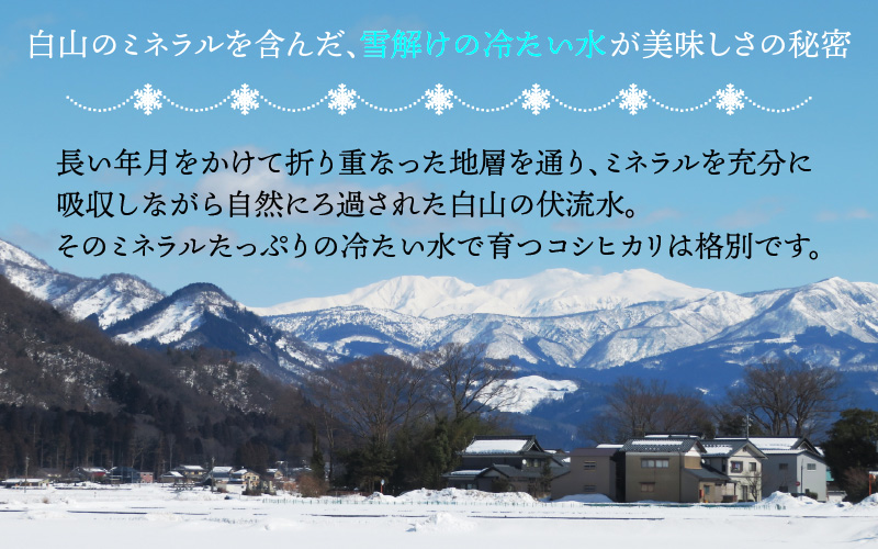 【先行予約】白山の恵み 令和8年産 コシヒカリ玄米（10kg）※2026年10月上旬以降順次発送予定 [A-009012]