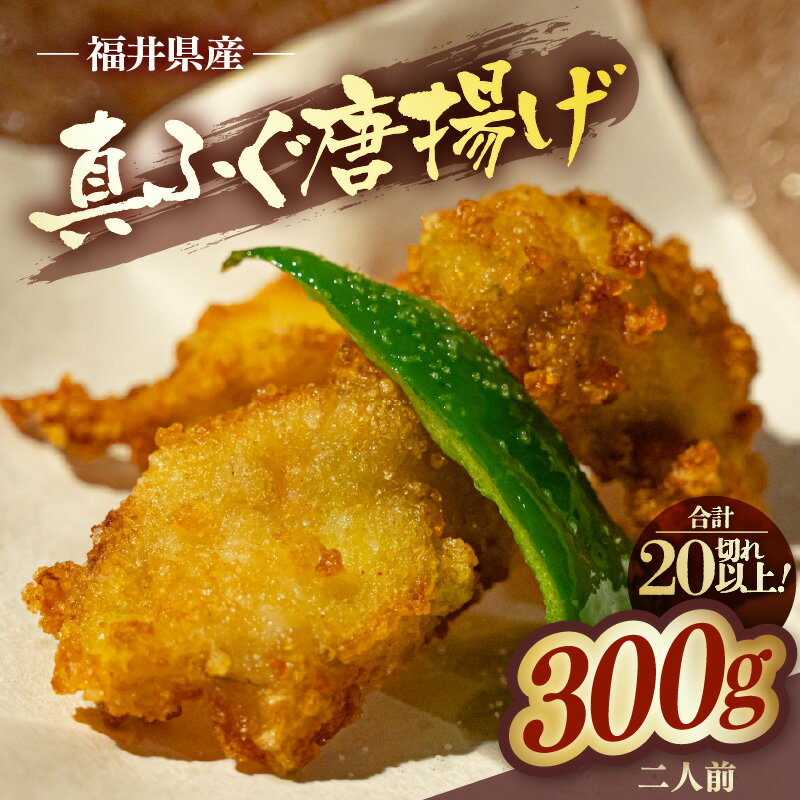 【ふるさと納税】真ふぐ 唐揚げ 2人前 (150g)×2 【冷凍 簡単 天然 ふぐ ふく ふぐセット 唐揚げ 河豚 海鮮 魚介類 カラアゲ 惣菜 おかず 敬老の日 プレゼント ギフト】