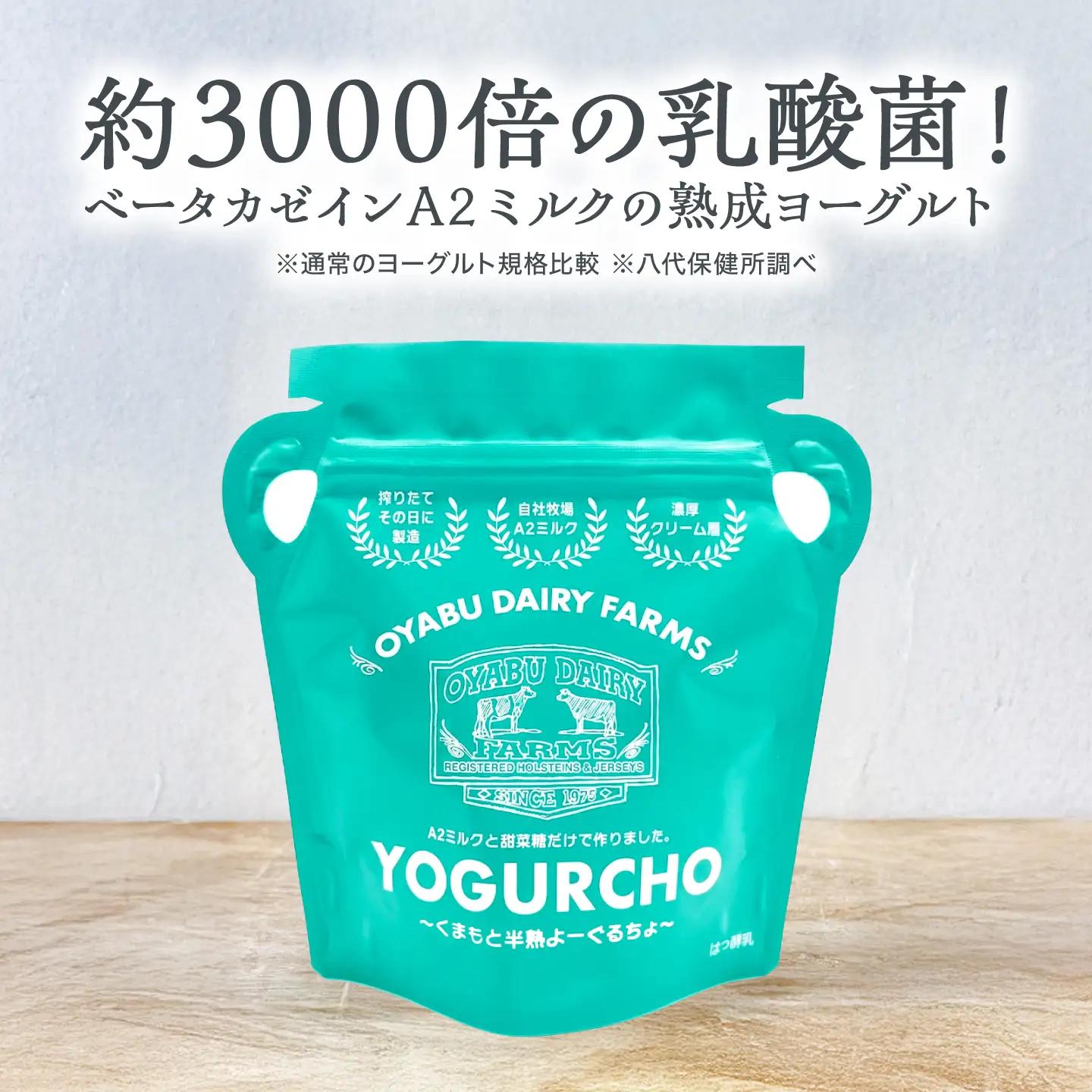 【全9回定期便】オオヤブデイリーファーム くまもと半熟よーぐるちょ 350g×5個ヨーグルト[AYAE021]