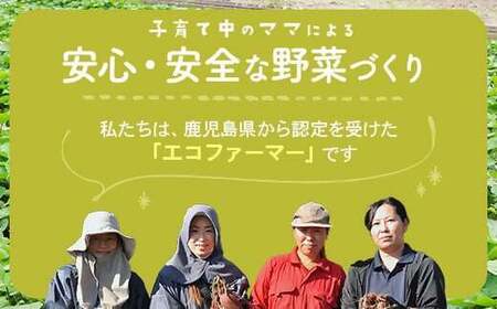 AS-0102 鹿児島県産 しっとり系干し芋 紅はるか 600g 吉永農園