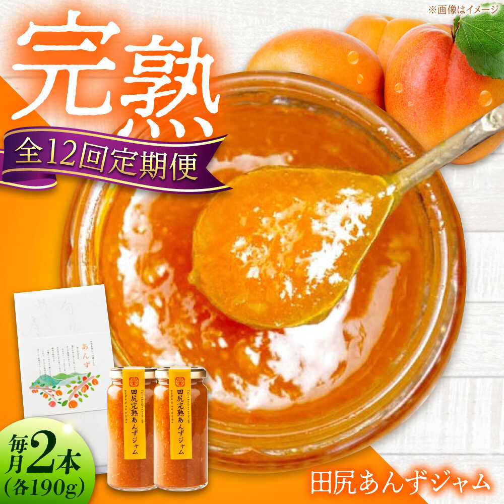 【ふるさと納税】【全12回定期便】 ジャム 田尻完熟あんずジャム (2本) ジャム 果物 あんず パン 甘い 菓子 朝ごはん おすすめ 人気 フルーツジャム トースト ヨーグルト パンケーキ 瓶詰め ギフト 贈り物 定期便 送料無料 広島県福山市/有限会社勉強堂[BAFL014]