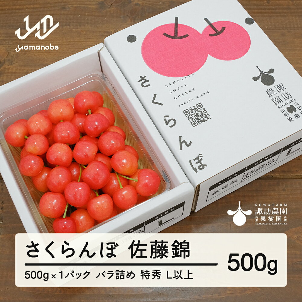 【ふるさと納税】 《先行予約》2025年 山形県産 さくらんぼ 佐藤錦 500g バラ詰め(パック) 特秀 L以上 2025年6月中旬から順次発送 F20A-904 ※沖縄・離島への配送不可