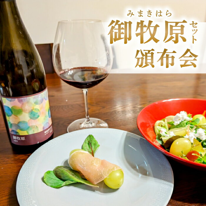 【ふるさと納税】【御牧原(みまきはら)おいしい農園】御牧原セット（シャインマスカットとメルローワイン1本）　頒布会