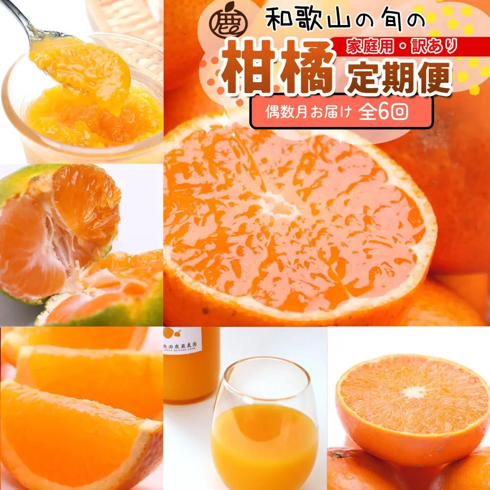家庭用 柑橘定期便M（偶数月）全6回 ［IKE309］