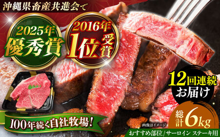 サーロインステーキ 【全12回定期便】佐渡山牛 サーロイン＆希少部位 牛肉 500g 和牛 BCBC016