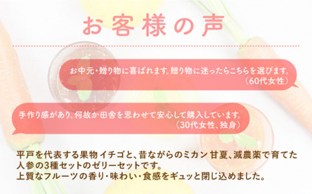 HiradoFruit＆Vegetablesjelly3種セット【株式会社平戸ファーム】[KAB099]