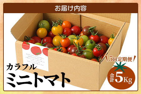 【5回定期便】【先行受付】2027年1月より順次発送 カラフルミニトマト6種 1kg ミニトマト プチトマト 定期便 農家直送 たにぐちファーム Ricotomato～とりこになるトマト～ G-24