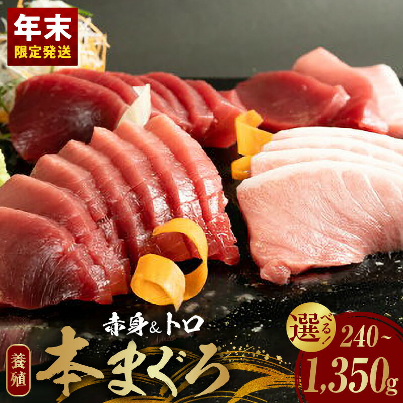 【ふるさと納税】【年末限定発送】本マグロ 養殖 赤身 トロ セット 選べる容量 240g ～ 1350g サク まぐろ 濃厚 脂 刺身 寿司 まぐろ丼 海鮮 鮮魚 魚 マグロ赤身 まぐろトロ 冷凍 お取り寄せ 和歌山県 湯浅町 送料無料