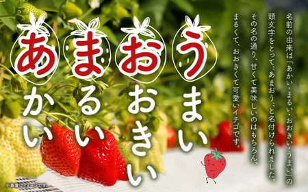 【2026年 1月発送】【アフター対応】特別栽培あまおう 約300g×4パック イチゴ 苺 いちご ※北海道・沖縄・離島配送不可