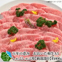 【ふるさと納税】牛肉 おおいた和牛 A5 約 400g 黒毛和牛 スライス しゃぶしゃぶ すき焼き 鍋 百年の恵み 肉質 4等級以上 霜降り 国産 国産牛 ブランド牛 ロース 肩ロース もも 肩 厳選部位 ギフト 贈答 お取り寄せ 冷凍 A01101