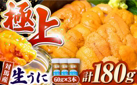 対馬産生うに60g×3本《対馬市》【保家商事】 ウニ うに 冷凍 生ウニ 雲丹 対馬 ムラサキウニ 紫ウニ 紫うに 長崎 九州 つしま 対馬市 海鮮 魚介 [WAA009]