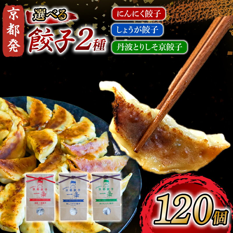 【ふるさと納税】 選べる 餃子 2種詰め合わせセット 120個 (にんにく餃子 / しょうが餃子 / 丹波とりしそ京餃子) 冷凍 ぎょうざ ギョーザ 生姜 豚肉 便利 簡単調理 惣菜 絶品 おかず お子様 家族 こだわり 餃子 人気 簡易包装 訳あり 訳アリ 京都 井手町 京都餃子一条