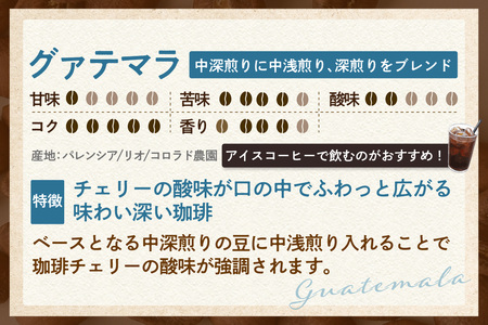  【スペシャリティ珈琲豆】グァテマラ コーヒー コーヒー豆 飲料 飲み物 ドリンク 焙煎 自家焙煎 中深煎り 味わい コク 香り 酸味 アイスコーヒー 眠気覚まし 愛知県 知多市
