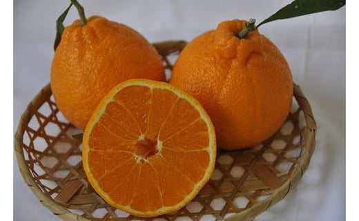 ブラッドオレンジ