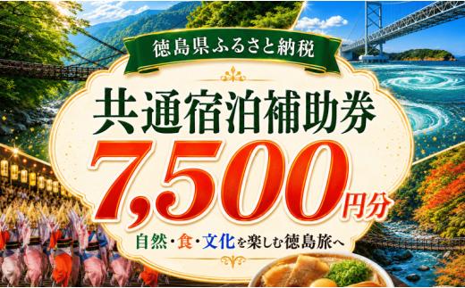 徳島県 宿泊券 7,500円分 《ここしかない！徳島県内”全域”が対象！》 阿波踊り 阿波おどり 徳島 旅行 旅行券 トラベル クーポン ホテル 宿泊 チケット 温泉 観光 すだち 鳴門金時 徳島ラーメン 半田そうめん 大塚美術館