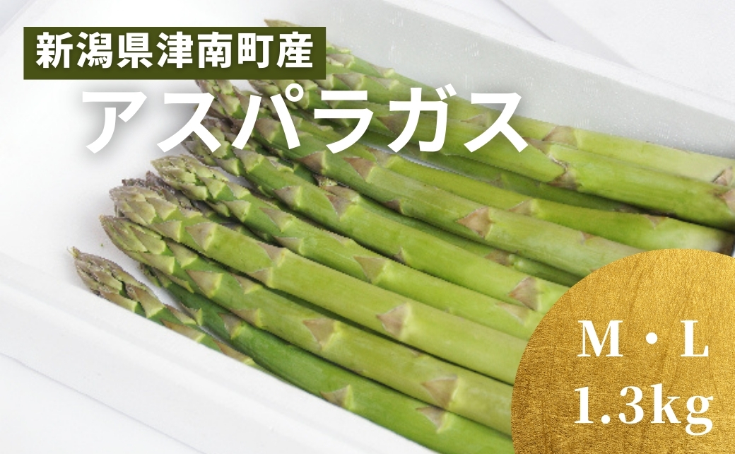 【令和8年産先行予約】新鮮 朝取り アスパラガス 津南産 1.3kg ( M ・ L サイズ ) ※サイズおまかせ |新潟県 津南町 旭商事株式会社 127531-017