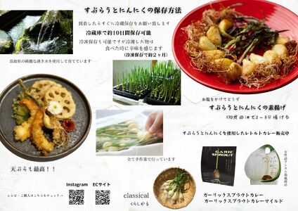 すぷらうとにんにくお試しセット