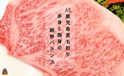 A5ランク THE鹿児島黒毛和牛サーロインステーキ400g（200g×2） ( 鹿児島黒毛和牛 A5 牛肉 ビーフ 贅沢 極上 こだわり プレミアム 徳之島 鹿児島 赤身 脂身 カミチク 幸せ )