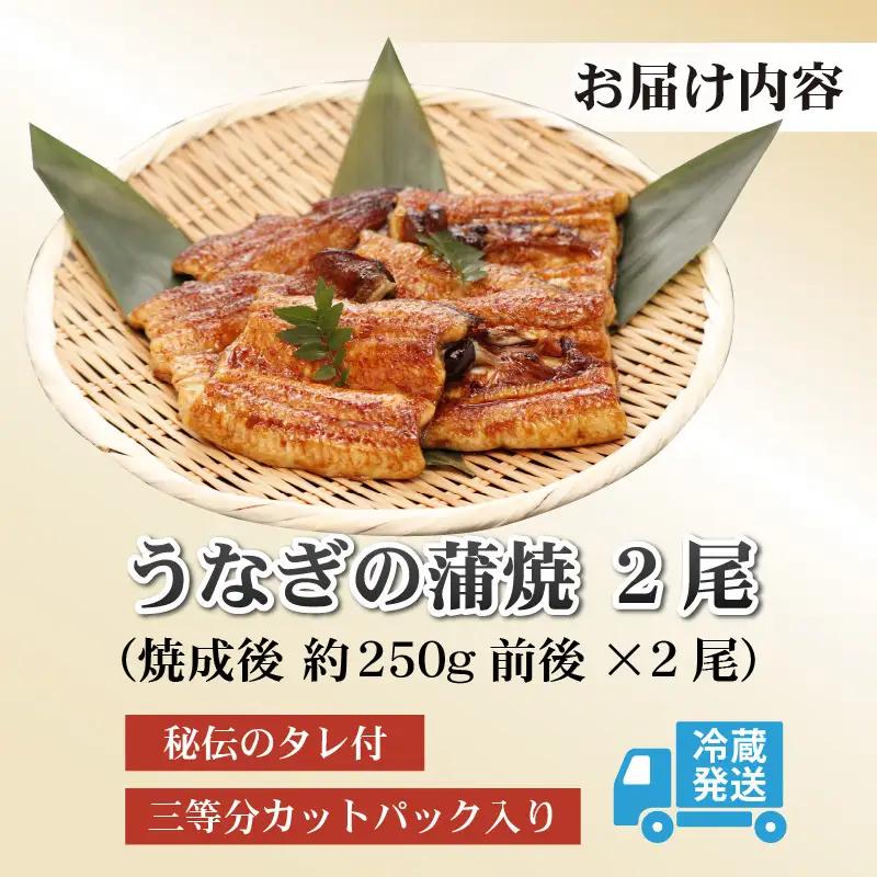 うなぎ蒲焼 国産 450g うなぎ