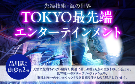 マクセル アクアパーク品川　年間パスポート　小・中学生 │ 東京 チケット 水族館