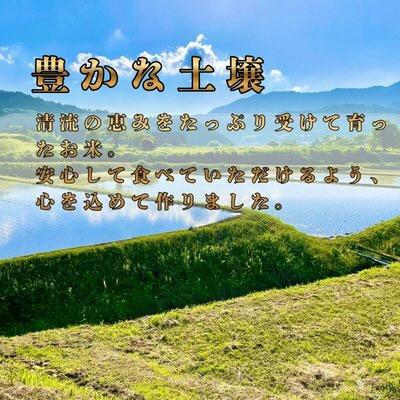 ふるさと納税 綾部市 【コシヒカリ】京都府綾部産 白米「穂のまま。」精米15kg |  | 01