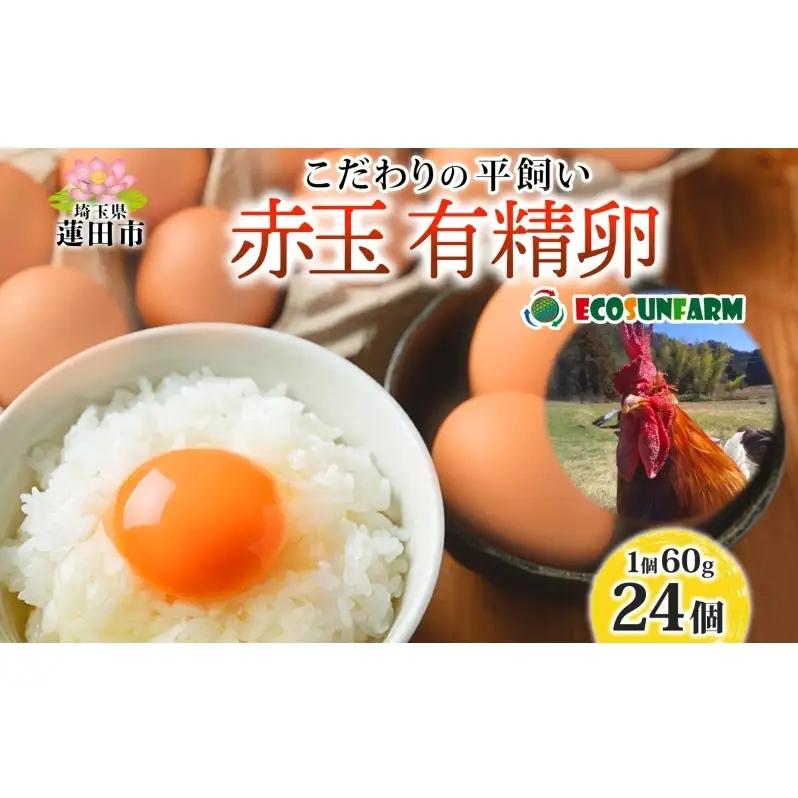 有精卵エコサンファーム 平飼い赤玉 有精卵【24個】