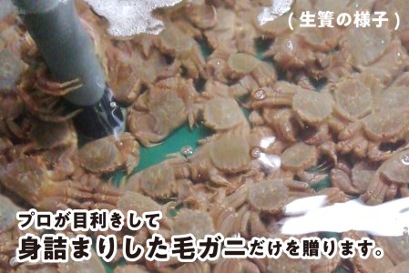 ＜2025年1月中旬から順次発送＞ 北海道産 かに 浜ゆで 毛ガニ 2尾 計 600g 以上 ＜ 予約商品 ＞ 毛がに かに 北海道 冷蔵 毛蟹 けがに 蟹 カニ かに味噌 カニ味噌 新鮮 旬 ボイル