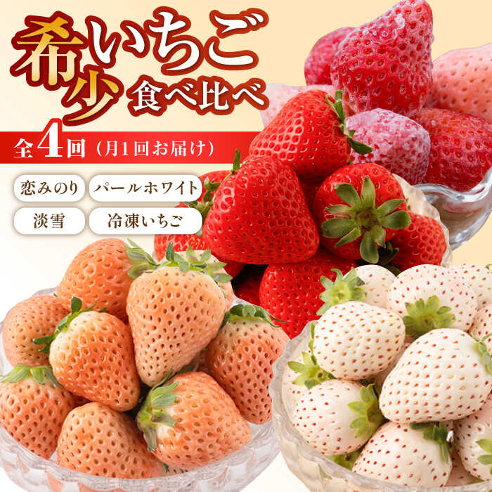【ふるさと納税】【先行予約】【4回定期便】希少いちご 食べ比べ定期（恋みのり・パールホワイト・淡雪・冷凍いちご）/ 農家直送 希少 苺 いちご イチゴ 白イチゴ 赤イチゴ 果物 フルーツ 佐賀県産 佐賀県 白石町 [IZZ005]